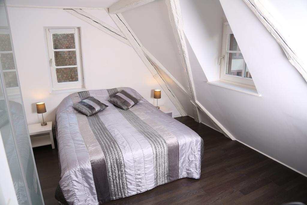 My Sweet Homes - La Grenouillere Hypercentre Colmar Quarto foto